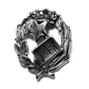 Insignia Notaría Plata de Ley 925 Alylosilver con Estuche