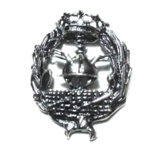 Insignia Ciencias Empresariales Plata de Ley 925 Alylosilver con Estuche