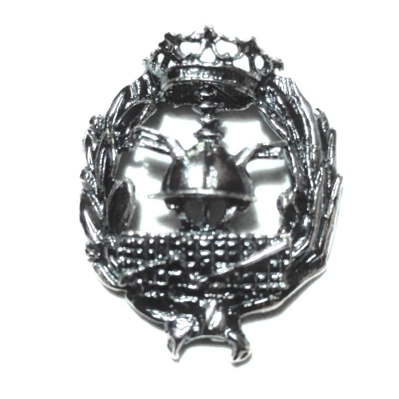 Insignia Ciencias Empresariales Plata de Ley 925 Alylosilver con Estuche