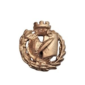 Insignia Geografía e Historia Chapada en Oro 925 Alylosilver con Estuche