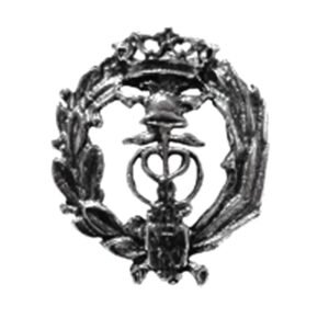 Insignia Representante Comercial Plata de Ley 925 Alylosilver con Estuche