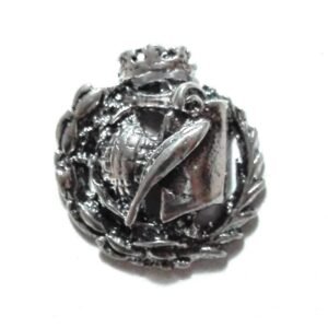 Insignia Geografía e Historia Plata de Ley 925 Alylosilver con Estuche