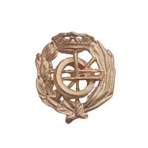 Insignia Informática Chapada en Oro 925 Alylosilver con Estuche