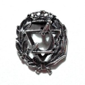 Insignia Óptica Plata de Ley 925 Alylosilver con Estuche