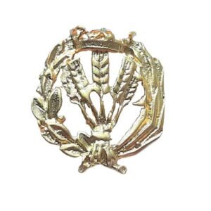 Insignia Ingeniería Agrónoma Chapada en Oro 925 Alylosilver con Estuche