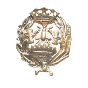 Insignia Ciencias Económicas Chapada en Oro 925 Alylosilver con Estuche