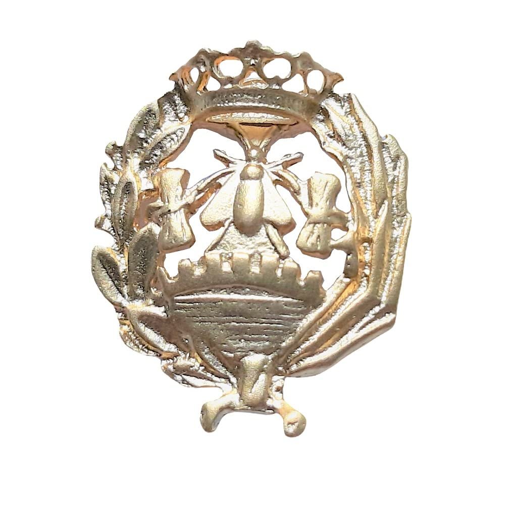 Insignia Ciencias Económicas Chapada en Oro 925 Alylosilver con Estuche