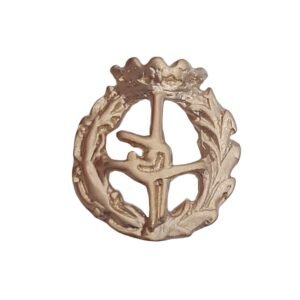 Insignia Educación Física Chapada en Oro 925 Alylosilver con Estuche