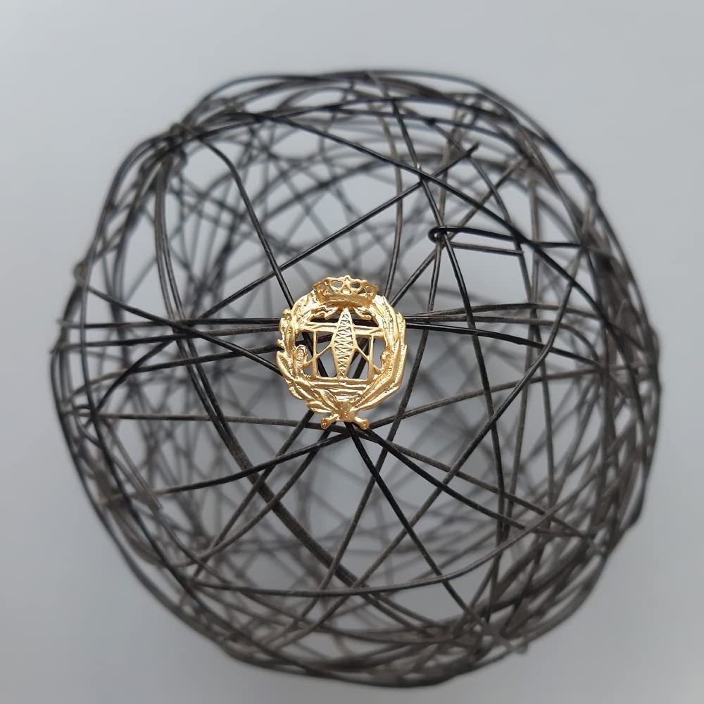 Insignia Telecomunicaciones Chapada en Oro 925 Alylosilver con Estuche - Imagen 4