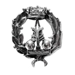 Insignia Física Plata de Ley 925 Alylosilver con Estuche