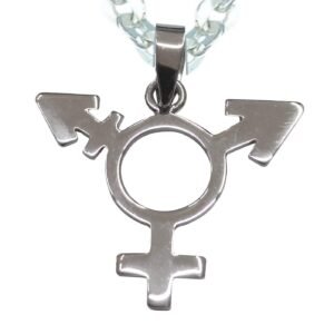 Símbolo Transgénero Colgante Plata de Ley 925 Alylosilver con Estuche