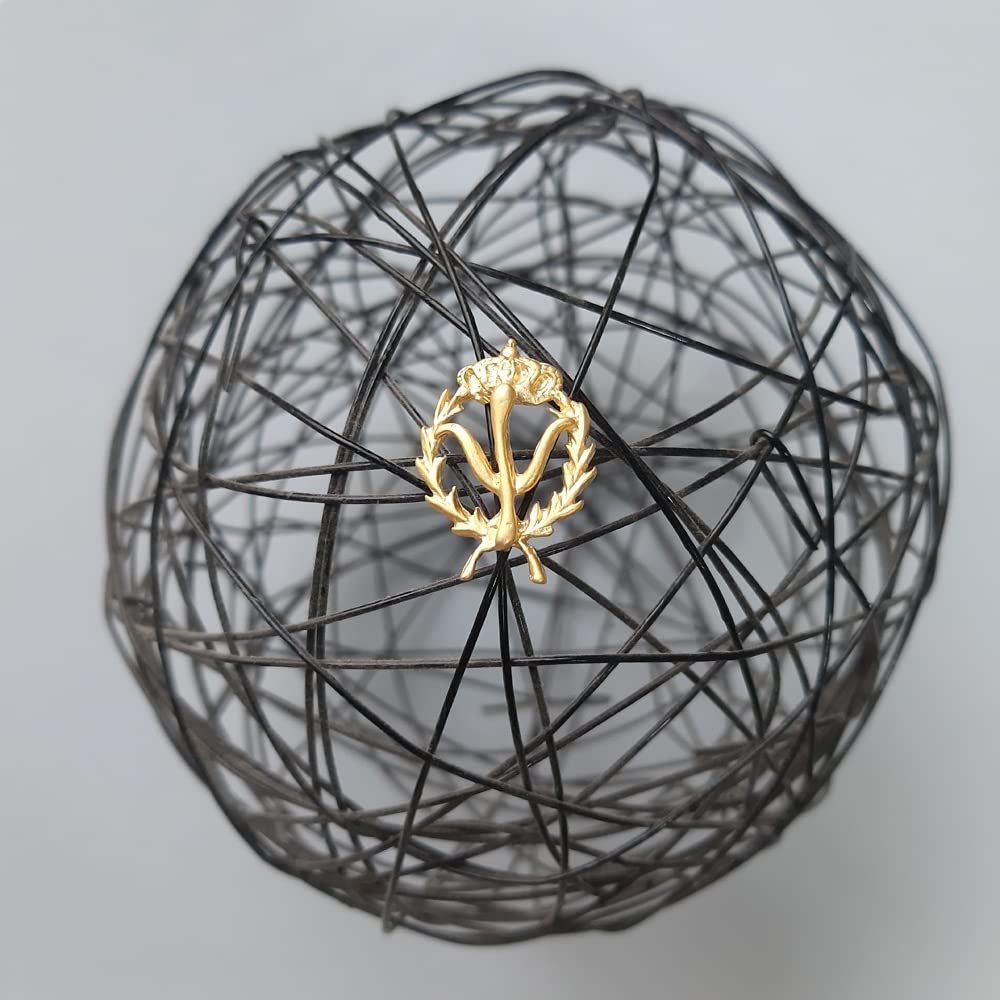 Insignia Psicología Chapada en Oro 925 Alylosilver con Estuche - Imagen 4