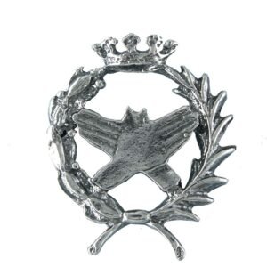 Insignia Fisioterapia Plata de Ley 925 Alylosilver con Estuche