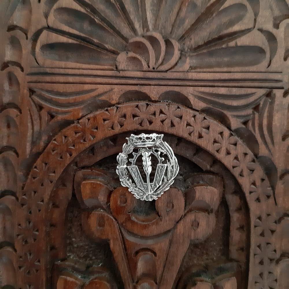 Insignia Ciencias Políticas Plata de Ley 925 Alylosilver con Estuche - Imagen 4