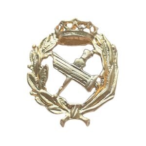 Insignia Filosofía y Letras Chapada en Oro 925 Alylosilver con Estuche