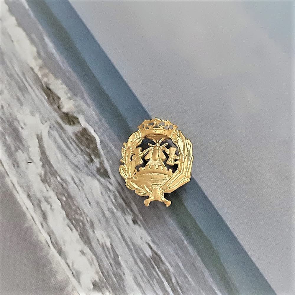 Insignia Ciencias Económicas Chapada en Oro 925 Alylosilver con Estuche - Imagen 5