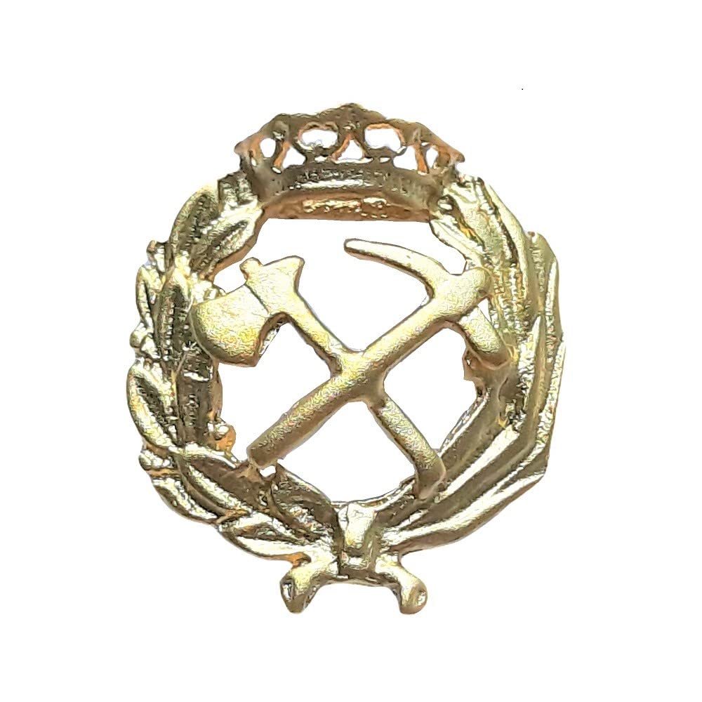 Insignia Ingeniería de Montes Chapada en Oro 925 Alylosilver con Estuche