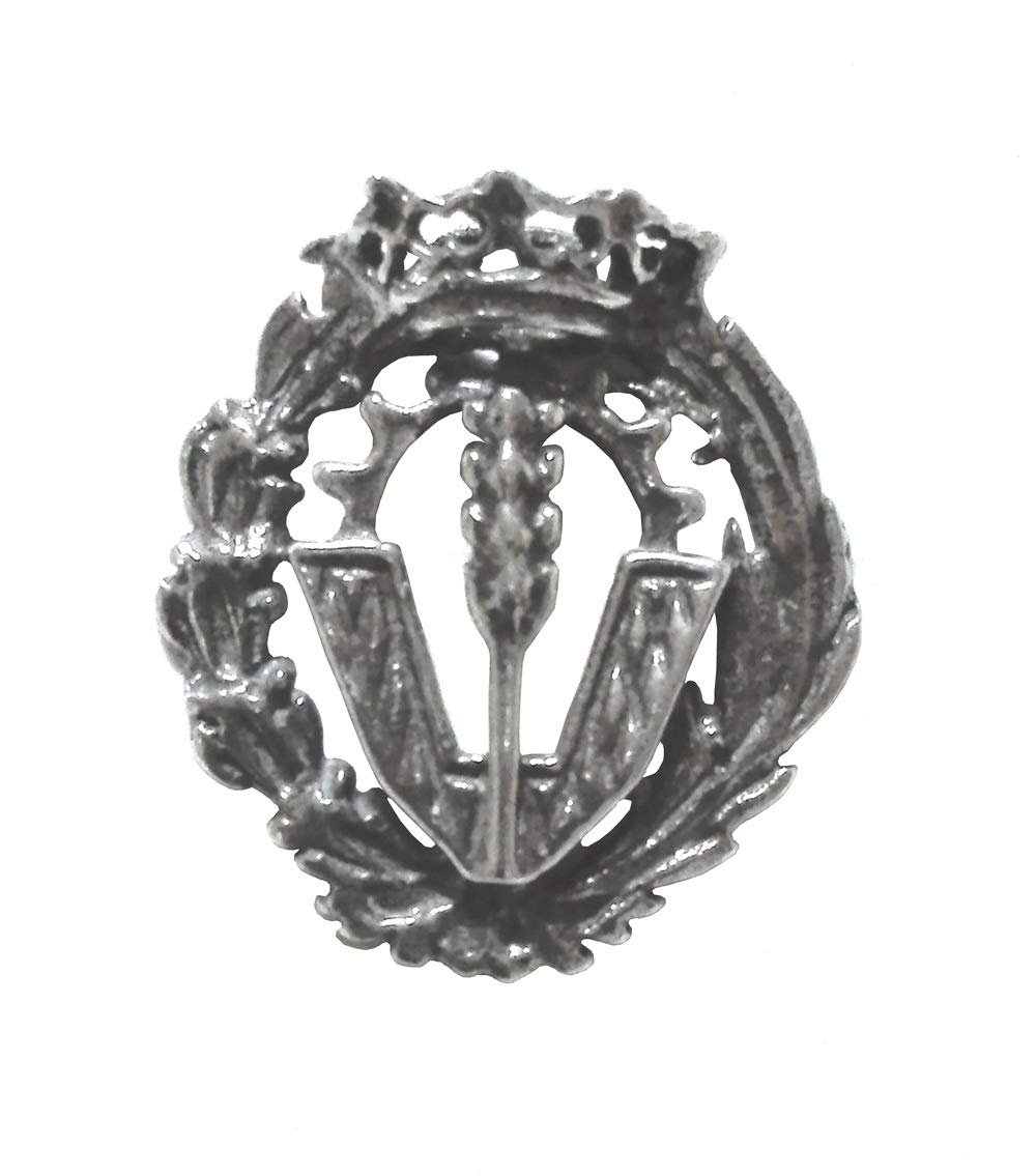 Insignia Ciencias Políticas Plata de Ley 925 Alylosilver con Estuche