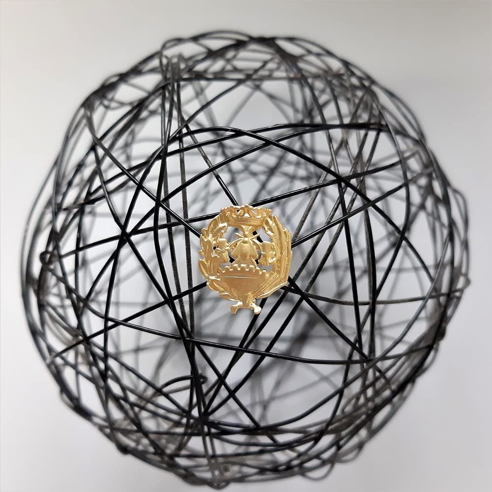 Insignia Ciencias Económicas Chapada en Oro 925 Alylosilver con Estuche - Imagen 2