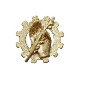 Insignia Trabajo Social Chapada en Oro 925 Alylosilver con Estuche