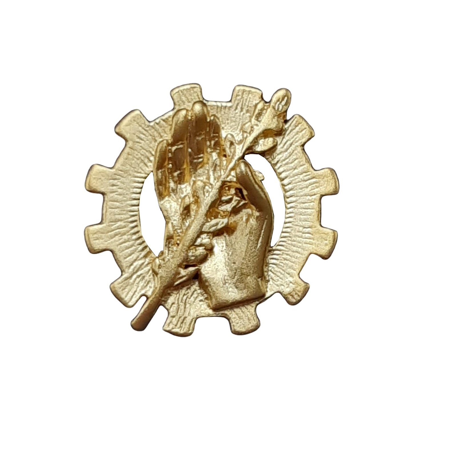 Insignia Trabajo Social Chapada en Oro 925 Alylosilver con Estuche