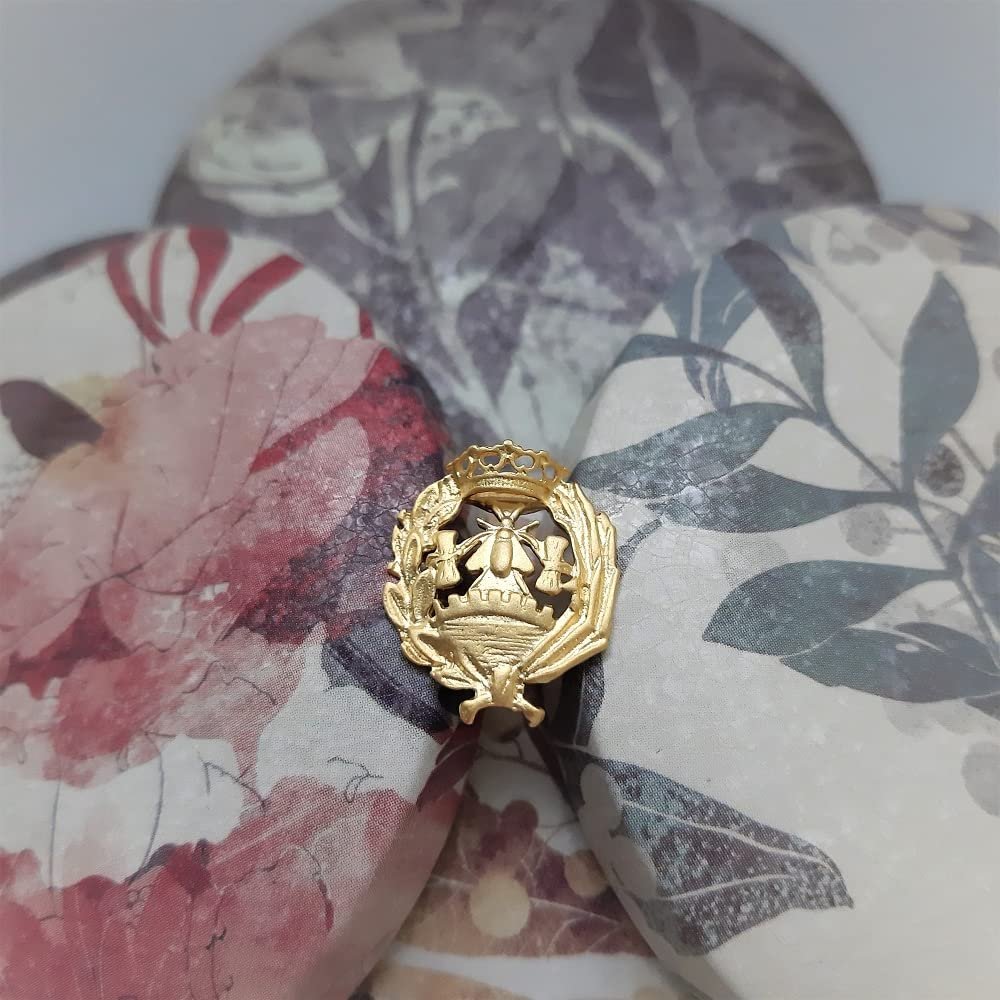 Insignia Ciencias Económicas Chapada en Oro 925 Alylosilver con Estuche - Imagen 4