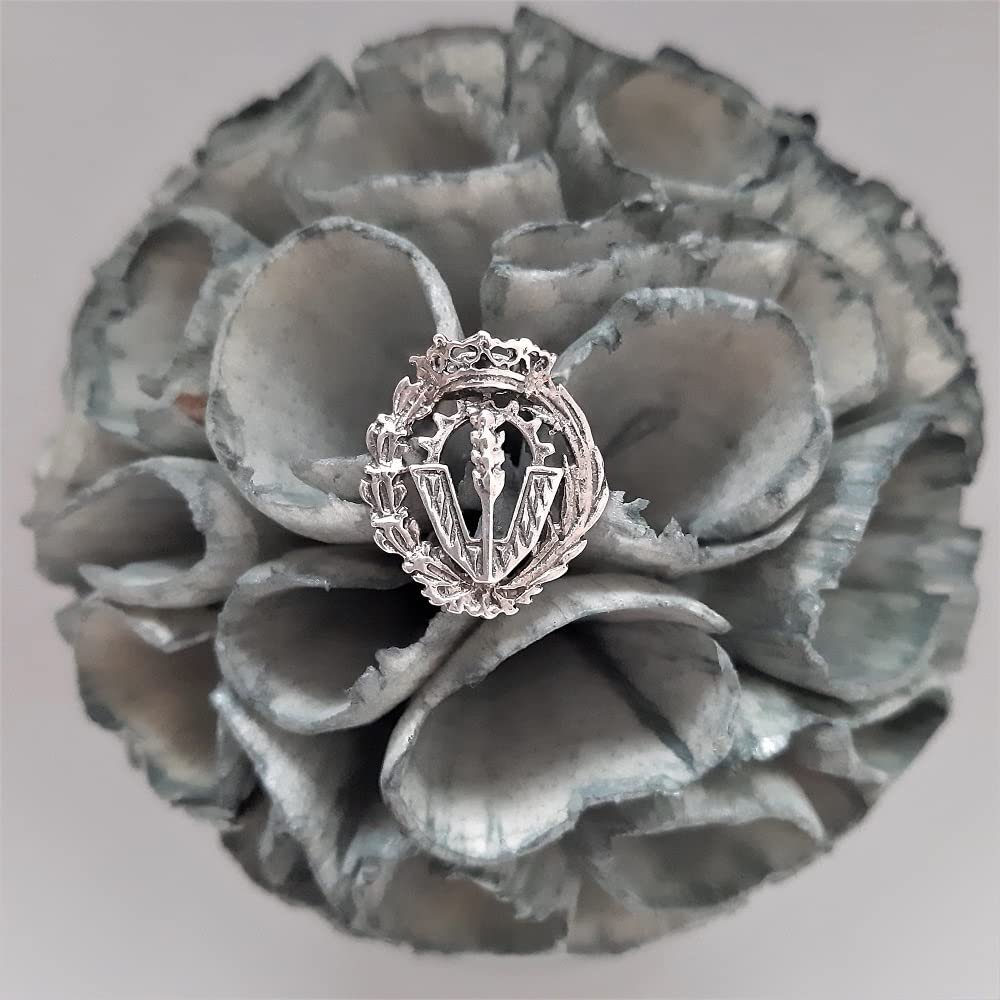 Insignia Ciencias Políticas Plata de Ley 925 Alylosilver con Estuche - Imagen 5