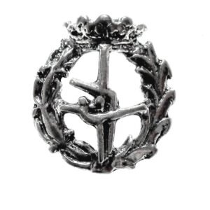 Insignia Educación Física Plata de Ley 925 Alylosilver con Estuche