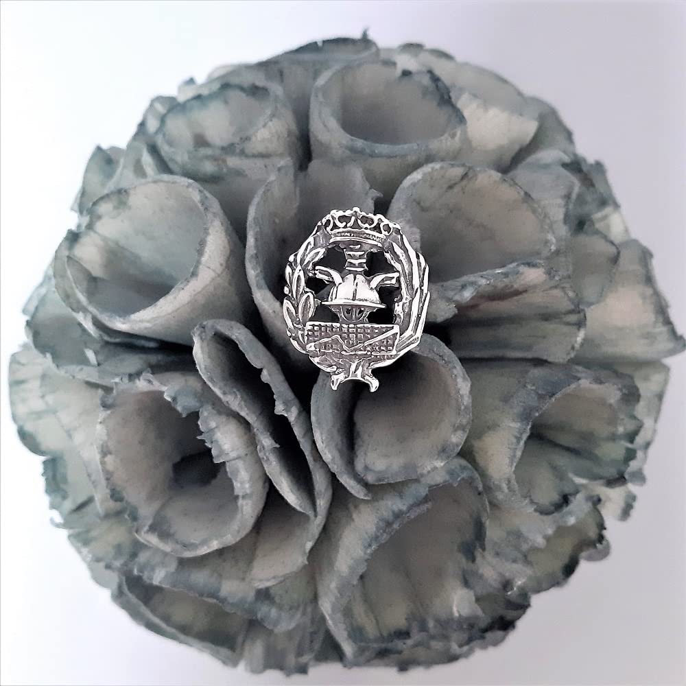 Insignia Ciencias Empresariales Plata de Ley 925 Alylosilver con Estuche - Imagen 5