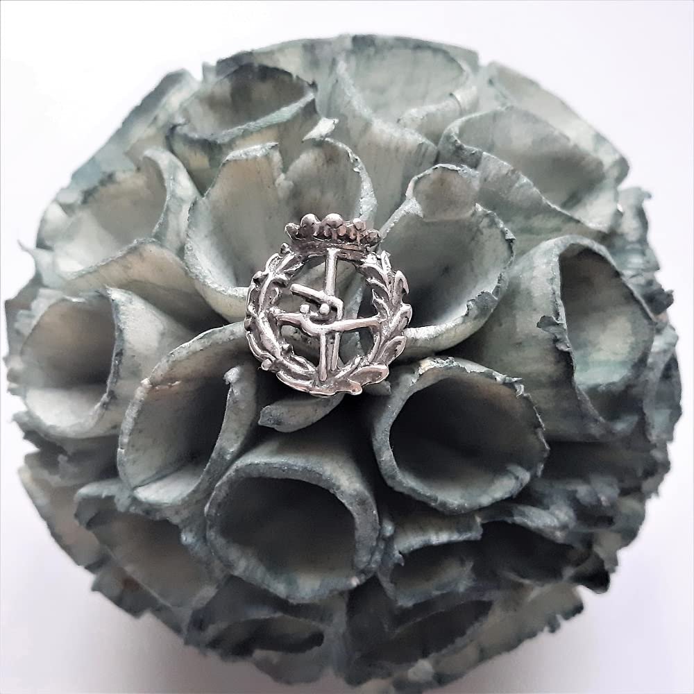 Insignia Educación Física Plata de Ley 925 Alylosilver con Estuche - Imagen 5