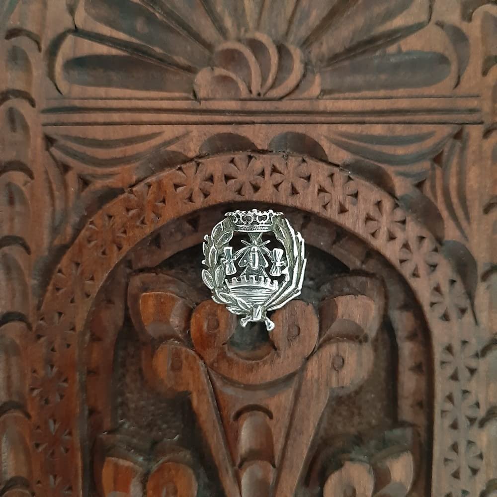 Insignia Ciencias Económicas Plata de Ley 925 Alylosilver con Estuche - Imagen 4