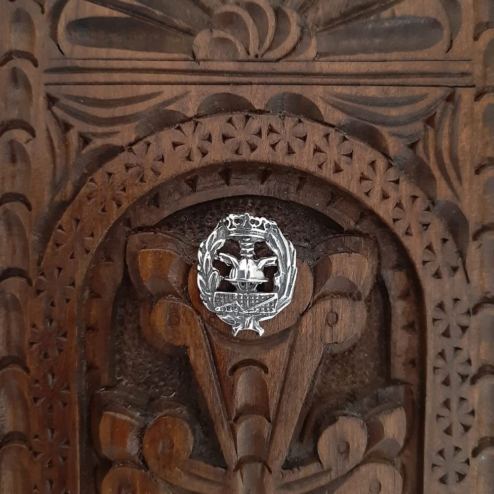 Insignia Ciencias Empresariales Plata de Ley 925 Alylosilver con Estuche - Imagen 4