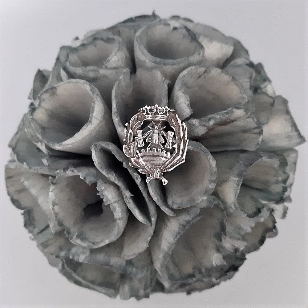 Insignia Ciencias Económicas Plata de Ley 925 Alylosilver con Estuche - Imagen 5