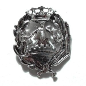 Insignia Ciencias Económicas Plata de Ley 925 Alylosilver con Estuche