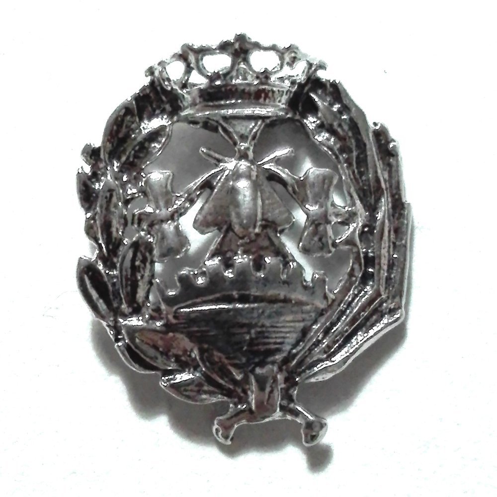 Insignia Ciencias Económicas Plata de Ley 925 Alylosilver con Estuche