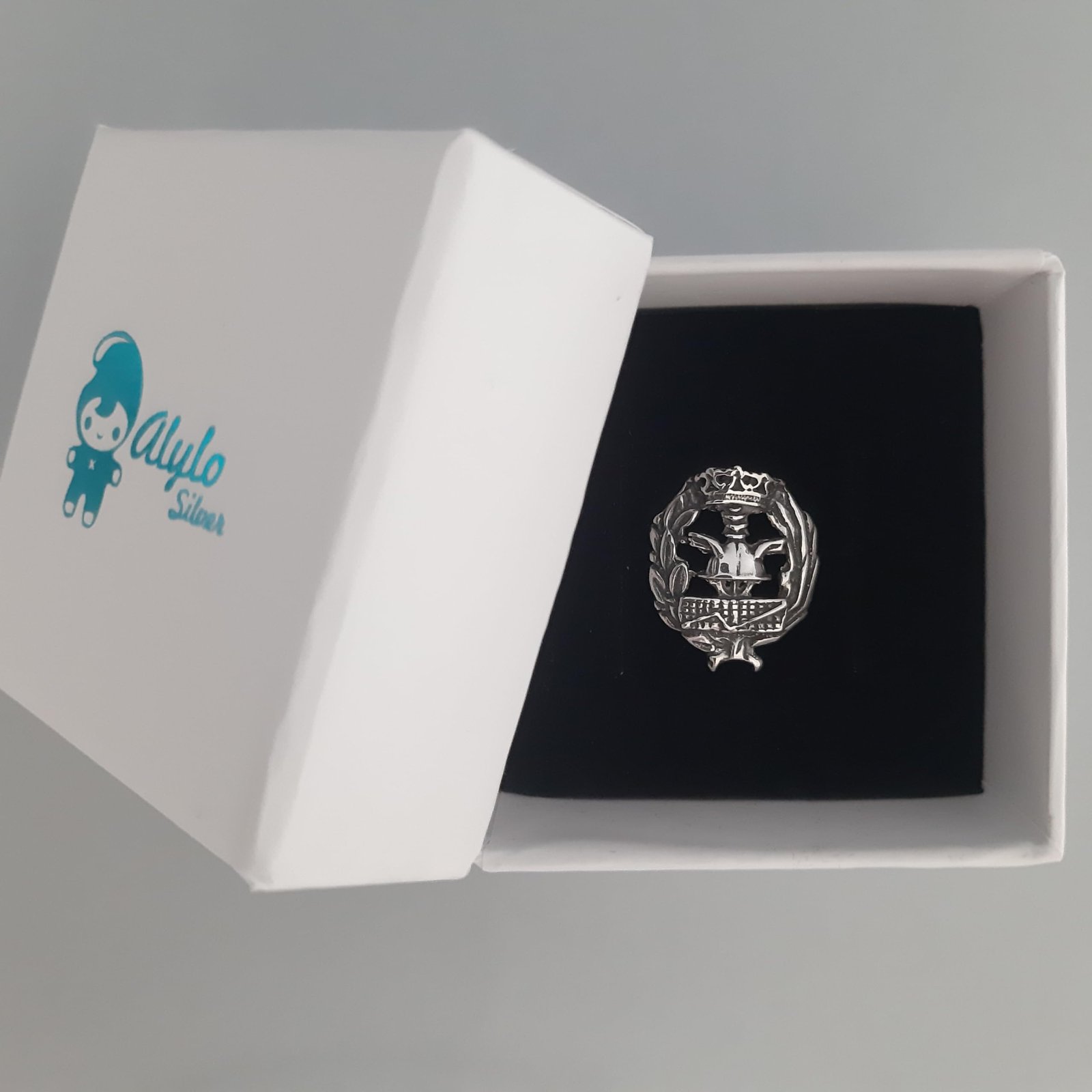 Insignia Ciencias Empresariales Plata de Ley 925 Alylosilver con Estuche - Imagen 2