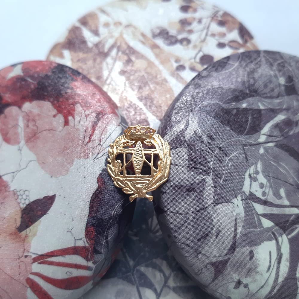 Insignia Telecomunicaciones Chapada en Oro 925 Alylosilver con Estuche - Imagen 5