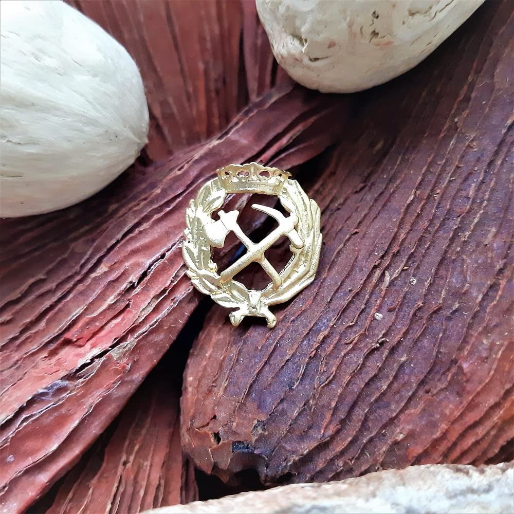 Insignia Ingeniería de Montes Chapada en Oro 925 Alylosilver con Estuche - Imagen 2