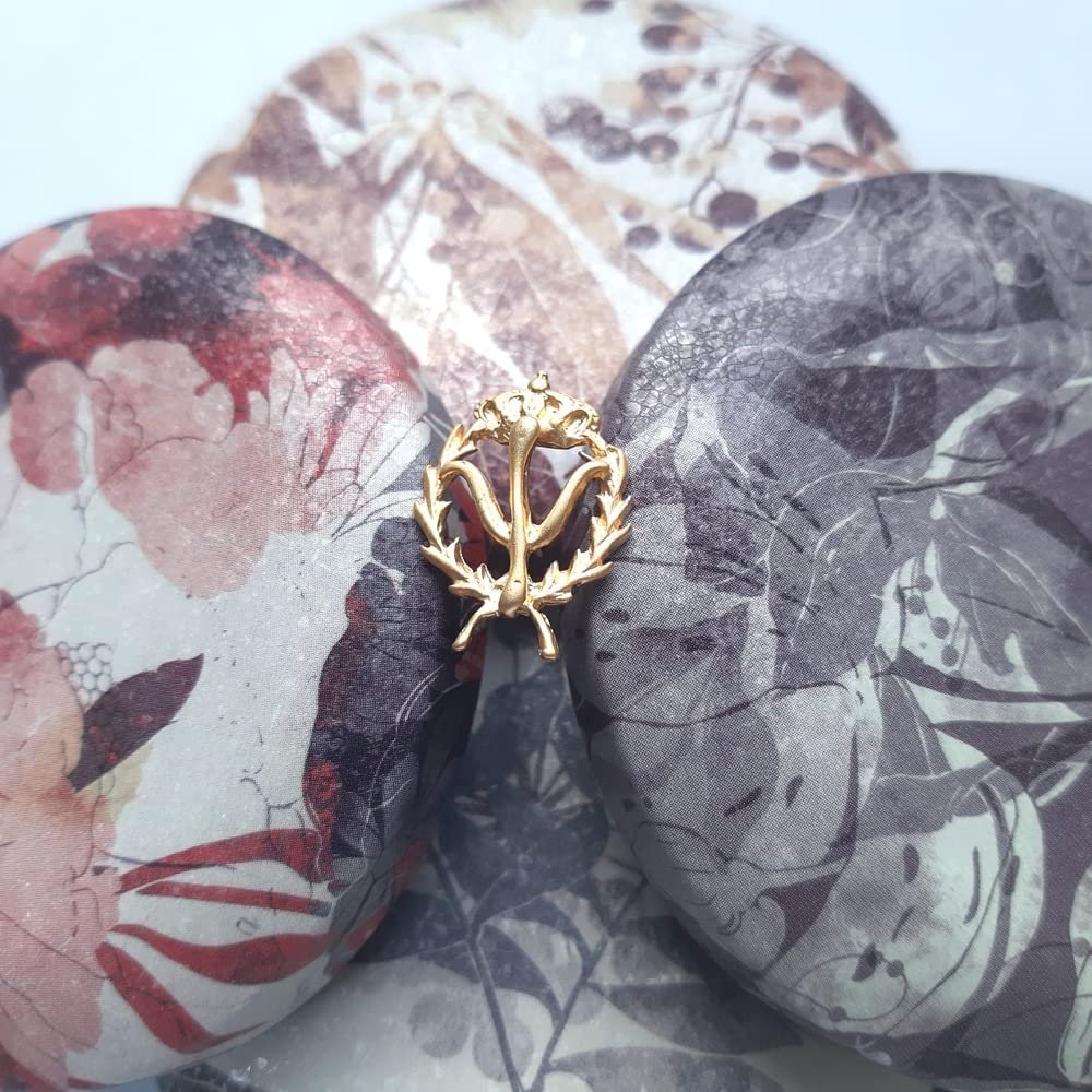 Insignia Psicología Chapada en Oro 925 Alylosilver con Estuche - Imagen 5