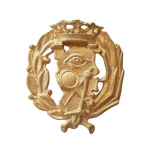 Insignia Matemáticas Chapada en Oro 925 Alylosilver con Estuche