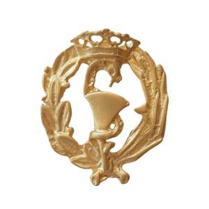 Insignia Farmacia Chapada en Oro 925 Alylosilver con Estuche