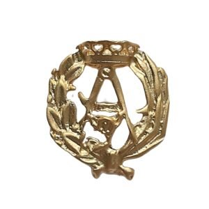 Insignia Arquitectura Chapada en Oro 925 Alylosilver con Estuche