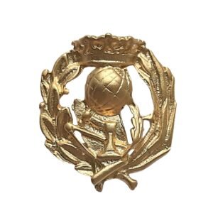 Insignia Magisterio Chapada en Oro 925 Alylosilver con Estuche