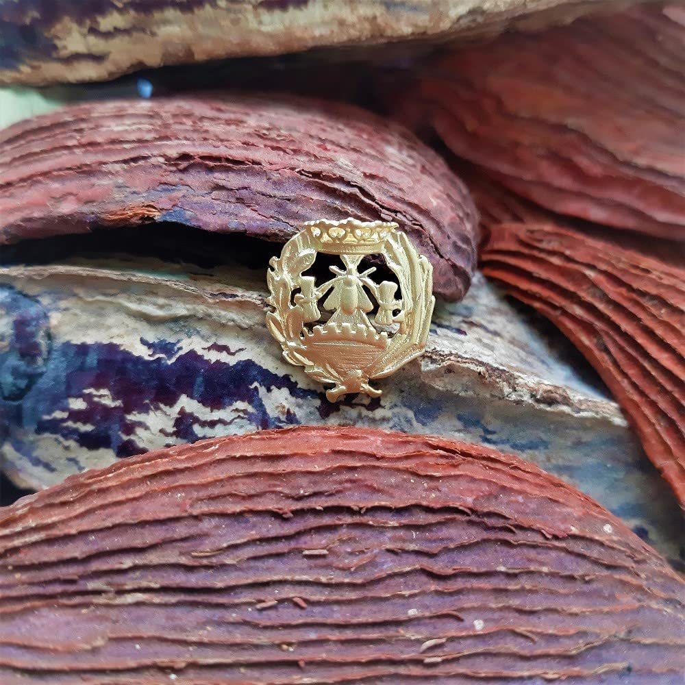 Insignia Ciencias Económicas Chapada en Oro 925 Alylosilver con Estuche - Imagen 3