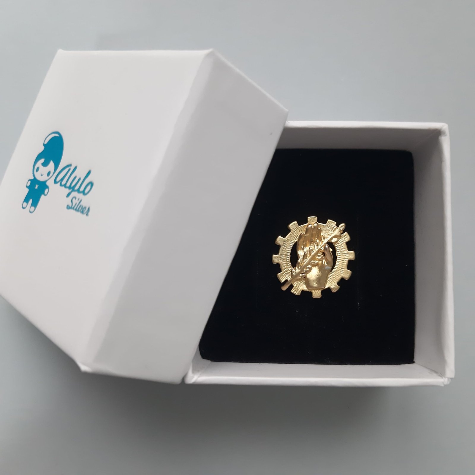 Insignia Trabajo Social Chapada en Oro 925 Alylosilver con Estuche - Imagen 2