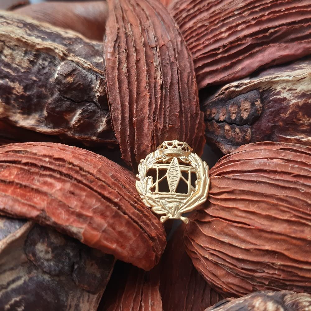 Insignia Telecomunicaciones Chapada en Oro 925 Alylosilver con Estuche - Imagen 3