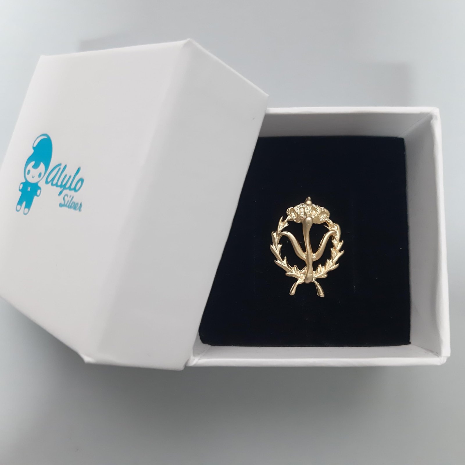 Insignia Psicología Chapada en Oro 925 Alylosilver con Estuche - Imagen 2