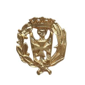 Insignia Enfermería Chapada en Oro 925 Alylosilver con Estuche