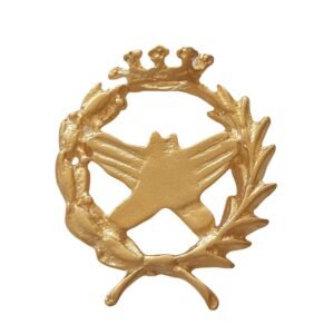 Insignia Fisioterapia Chapada en Oro 925 Alylosilver con Estuche