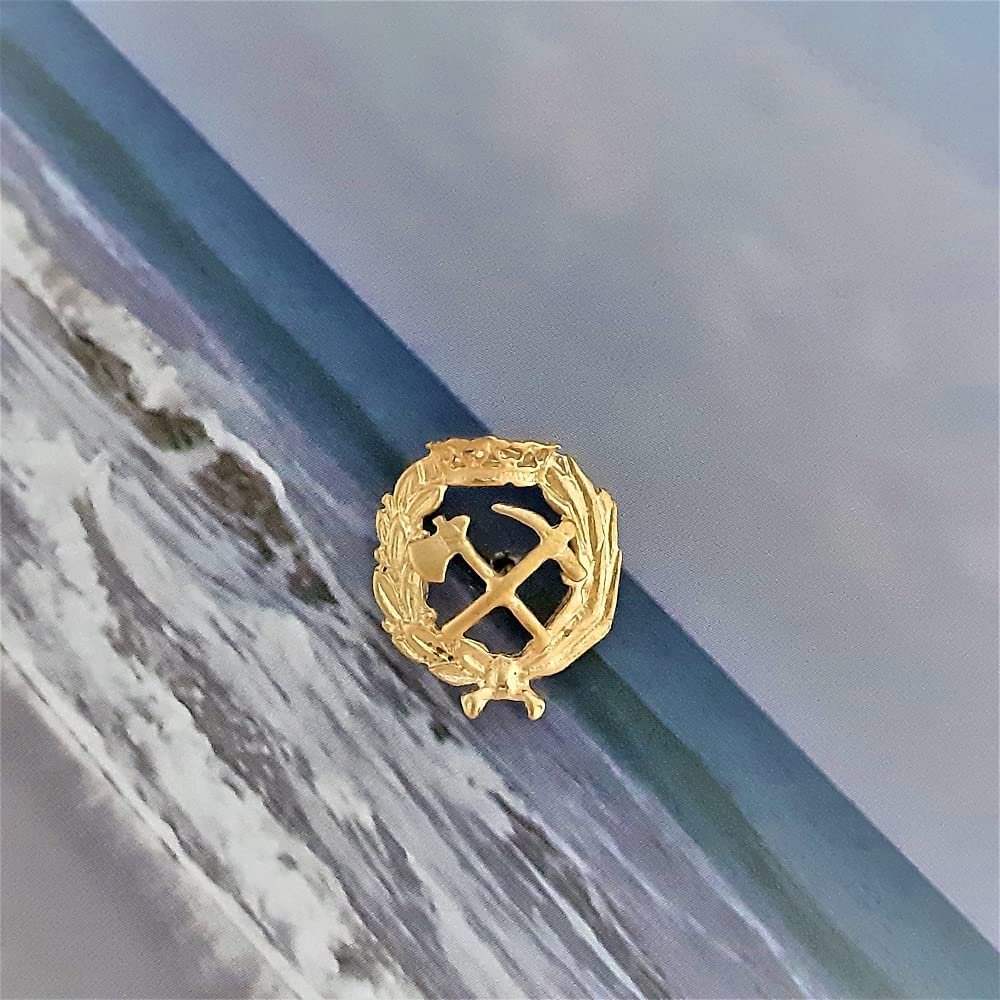 Insignia Ingeniería de Montes Chapada en Oro 925 Alylosilver con Estuche - Imagen 5